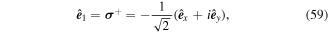 Equation (59)