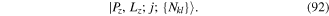 Equation (92)