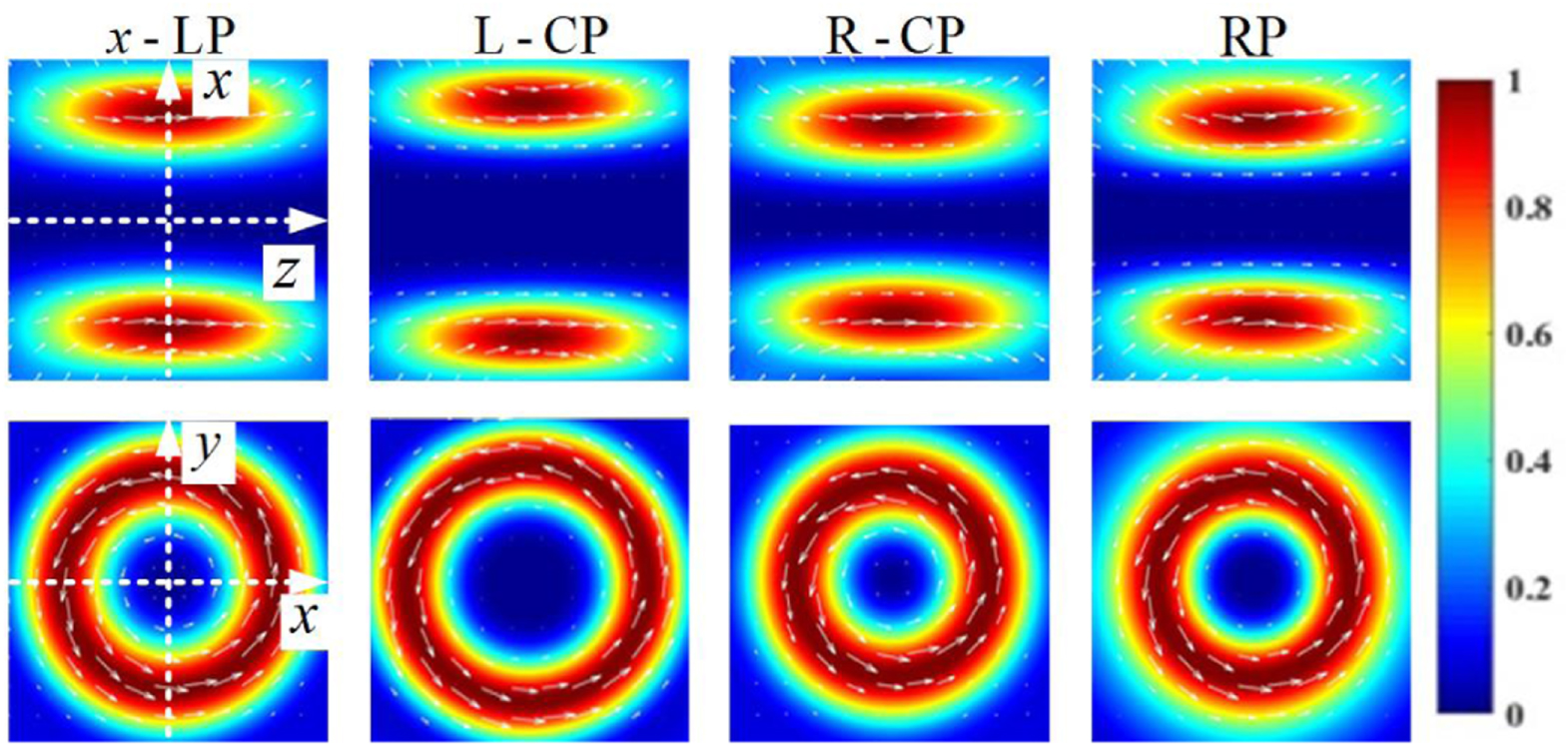 Dynamical characteristics of tightly focused vortex beams with ...