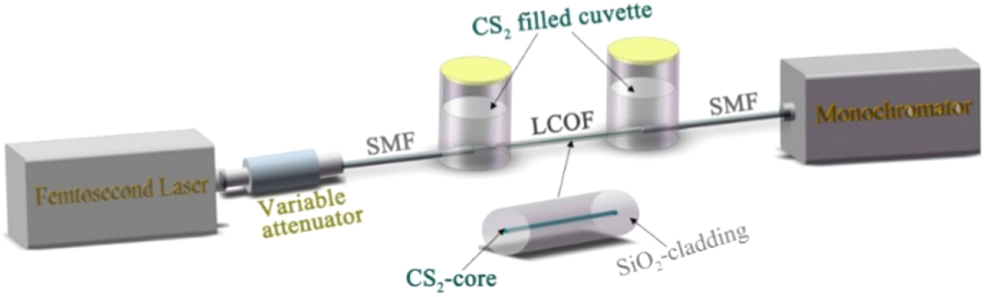 Highly coherent supercontinuum generation in CS2-infiltrated single ...