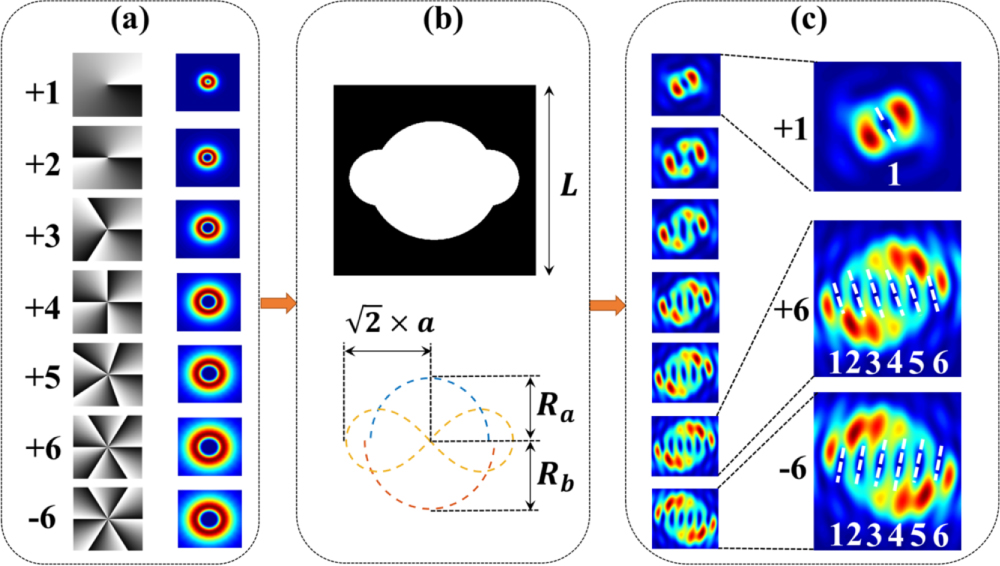Orbital angular momentum modes identification of optical vortices using ...
