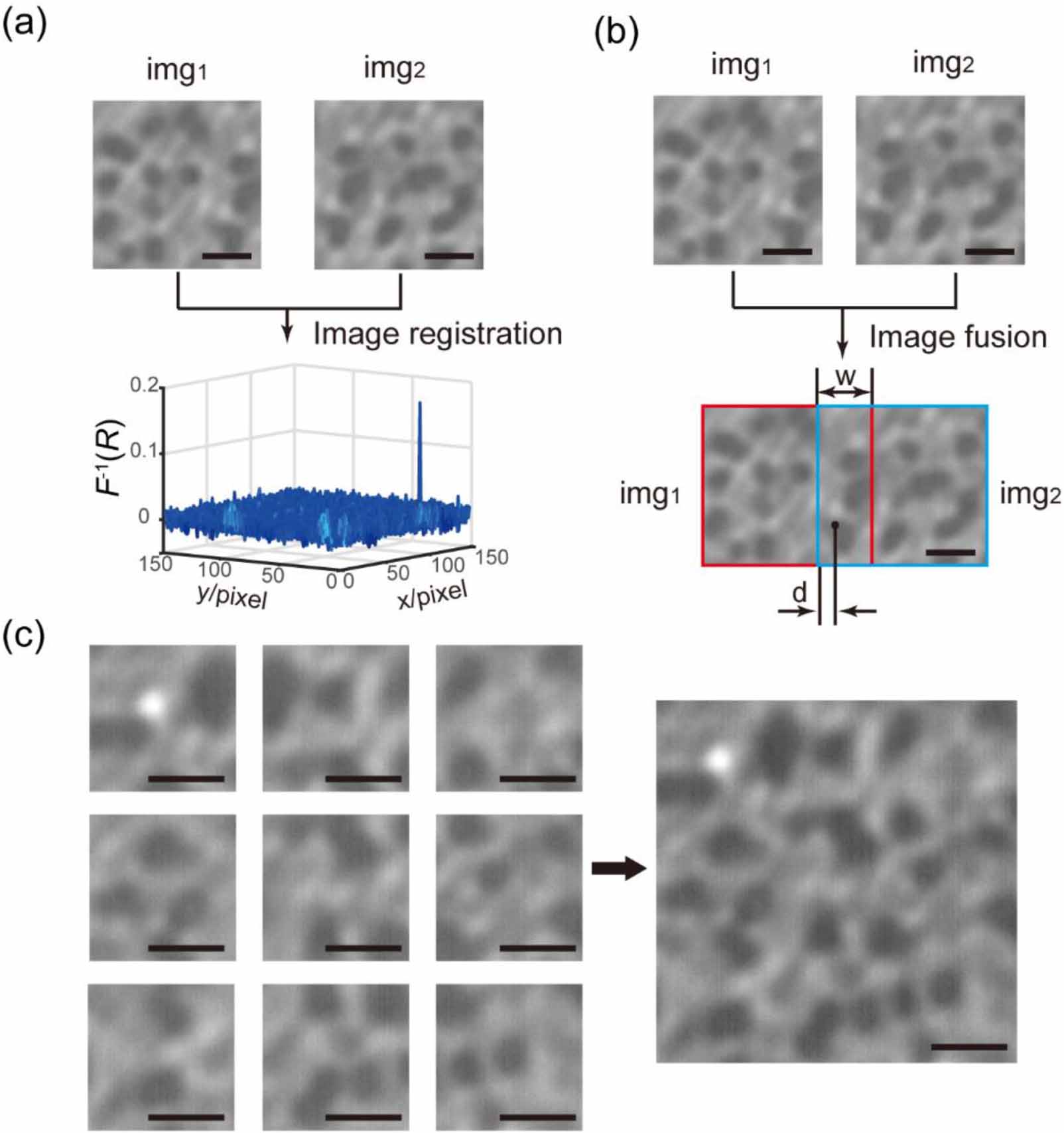 Microscope Merge Image Scanning microsphere array optical microscope for efficient and large ...