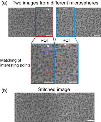 Scanning microsphere array optical microscope for efficient and large ...