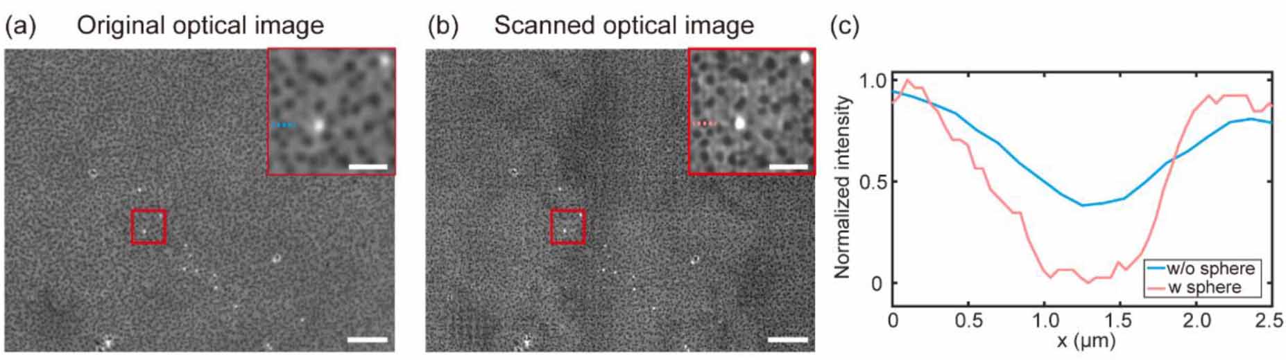 Scanning microsphere array optical microscope for efficient and large ...