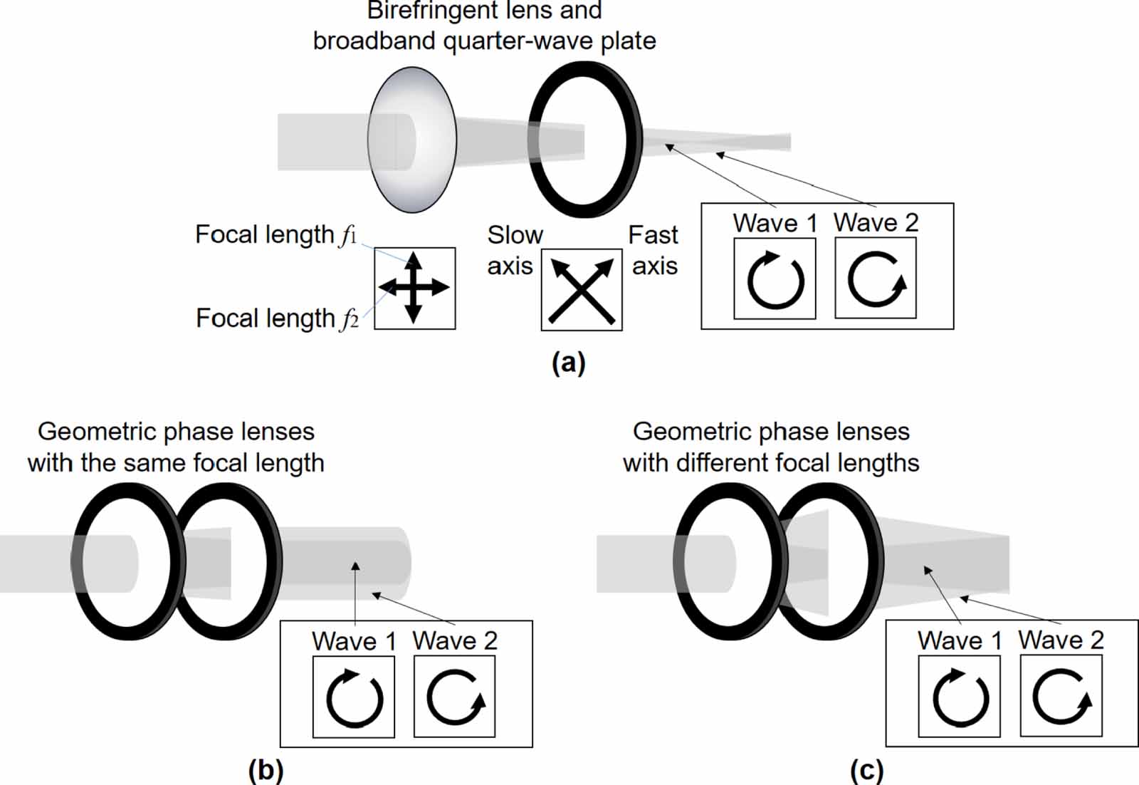 Single-shot incoherent color digital holographic microscopy system with ...