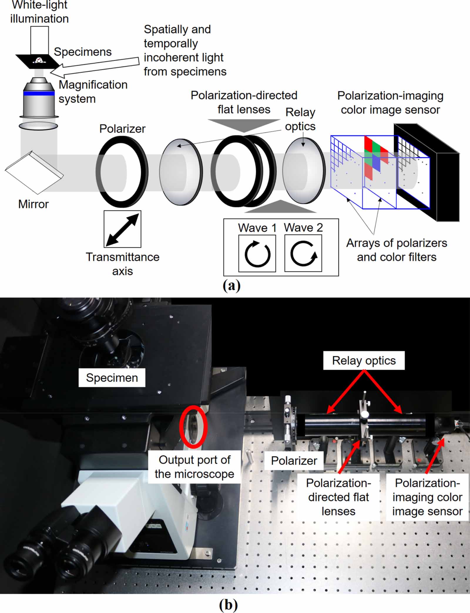 Single-shot incoherent color digital holographic microscopy system with ...