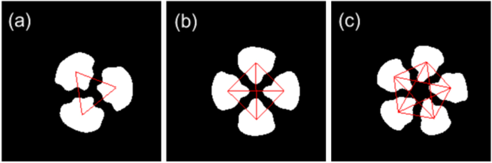 Vortex Slm Pattern Radial-shearing interferometry for phase LC-SLM calibration with a pair ...