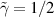 $\tilde{\gamma} = 1/2$
