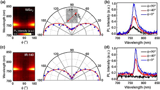 Plasmonic crystal with independently tunable double resonances - IOPscience