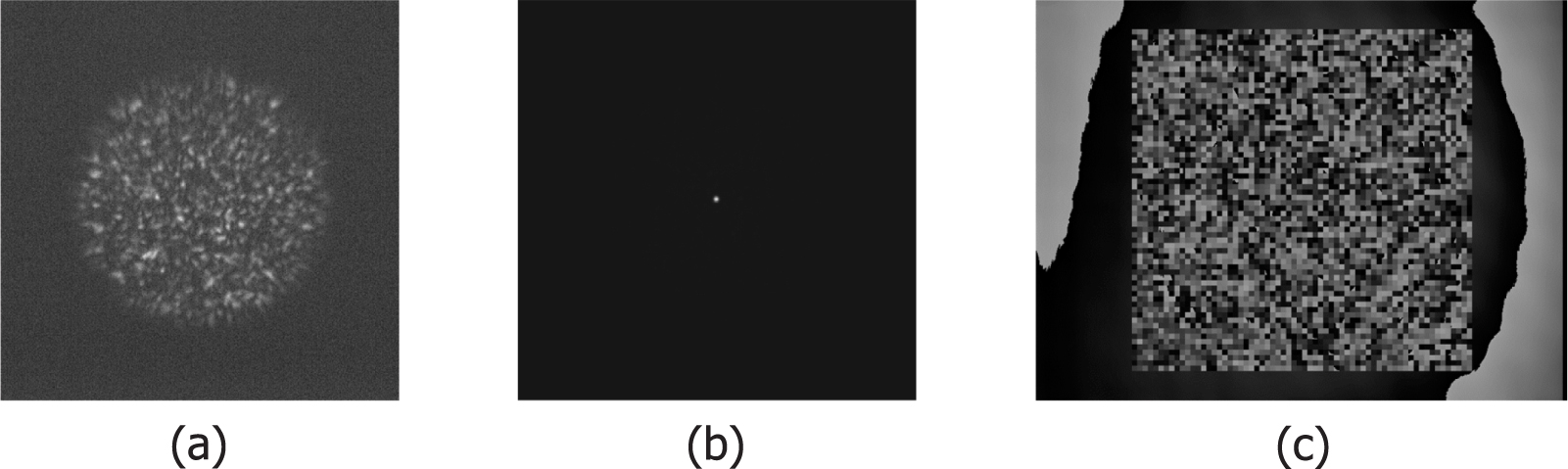 Cross-sectional imaging through scattering media by quantum-mimetic ...