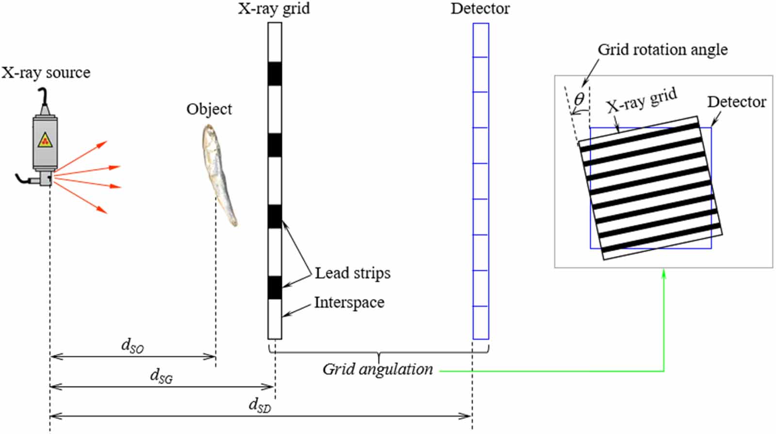 Quantification of the effects of grid angulation on image quality in ...