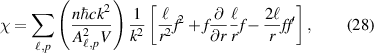 Equation (28)