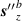 $\boldsymbol{s}{^{\prime\prime}}_z^b$