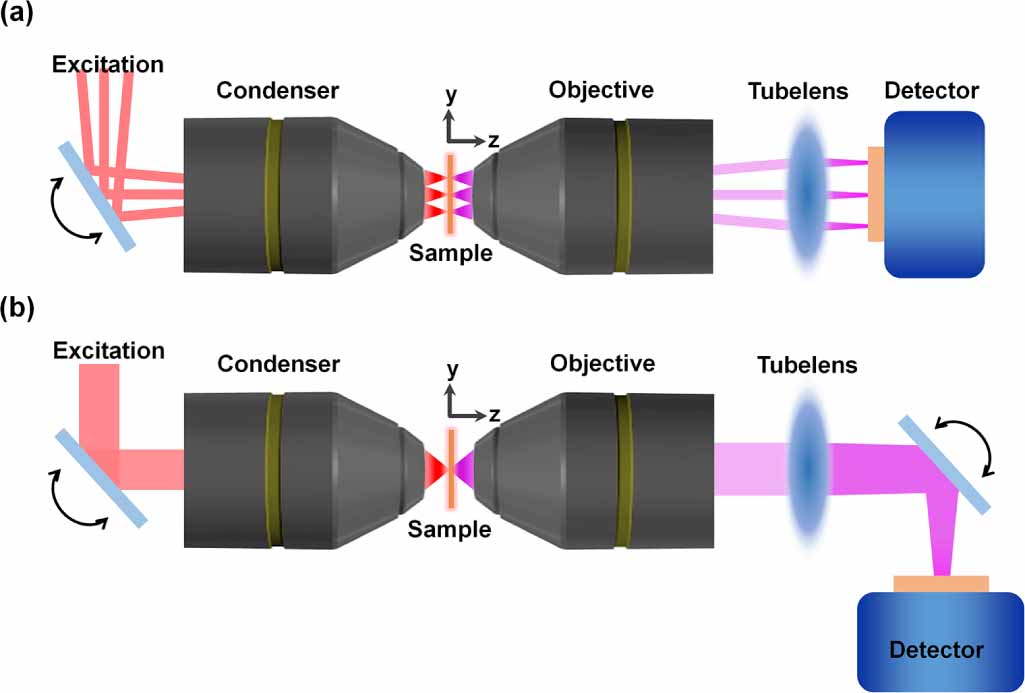 An overview of structured illumination microscopy: recent advances and ...