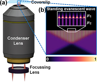 An overview of structured illumination microscopy: recent advances and ...