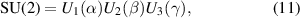 Equation (11)