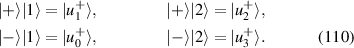 Equation (110)
