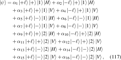 Equation (117)