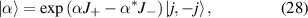 Equation (28)