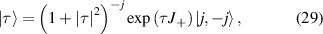 Equation (29)