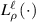 $L_{\rho}^{\ell}\left( \cdot \right)$