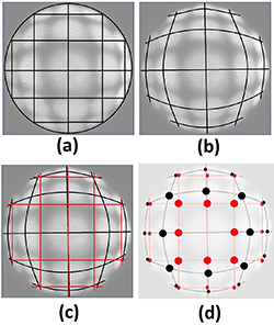 Bi-Ronchi-test proposal for wavefront sensing and aberration analysis ...