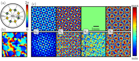 Self-imaging vectorial singularity networks in 3d structured light ...