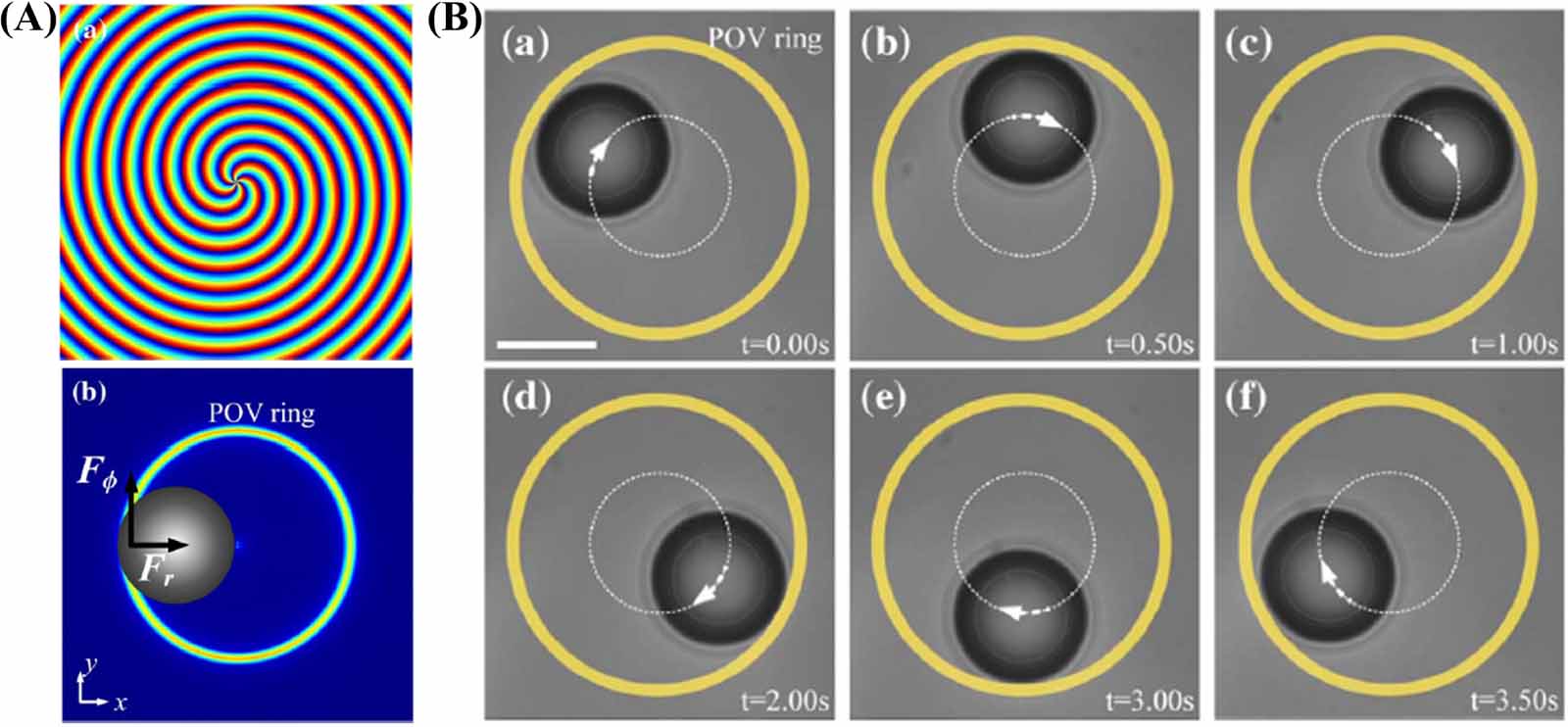 Orbital angular momentum in optical manipulations - IOPscience