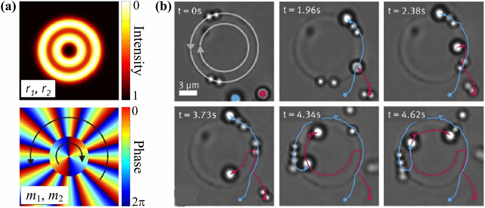 Orbital angular momentum in optical manipulations - IOPscience
