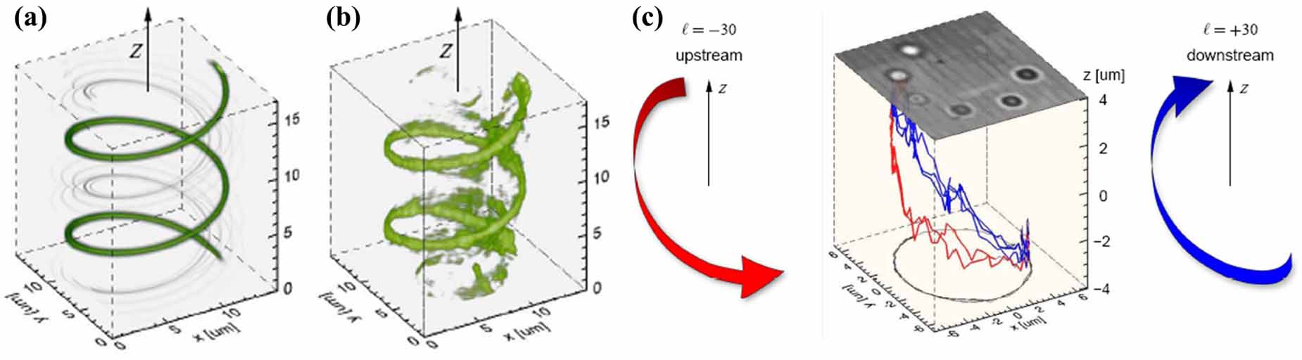Orbital angular momentum in optical manipulations - IOPscience