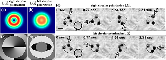 Orbital angular momentum in optical manipulations - IOPscience