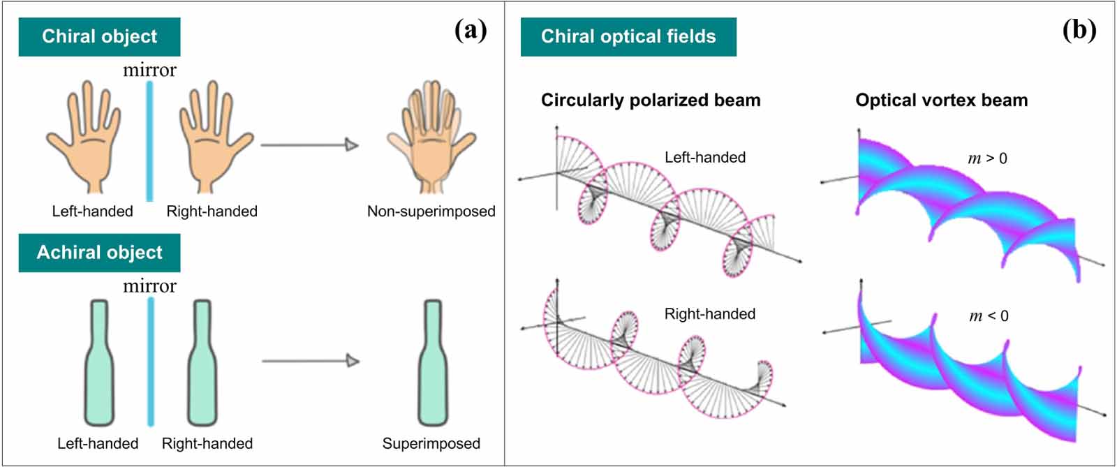 Orbital angular momentum in optical manipulations - IOPscience