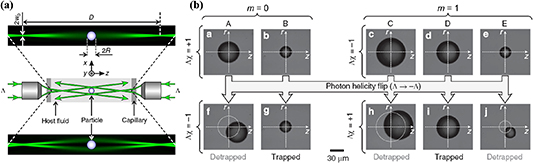 Orbital angular momentum in optical manipulations - IOPscience