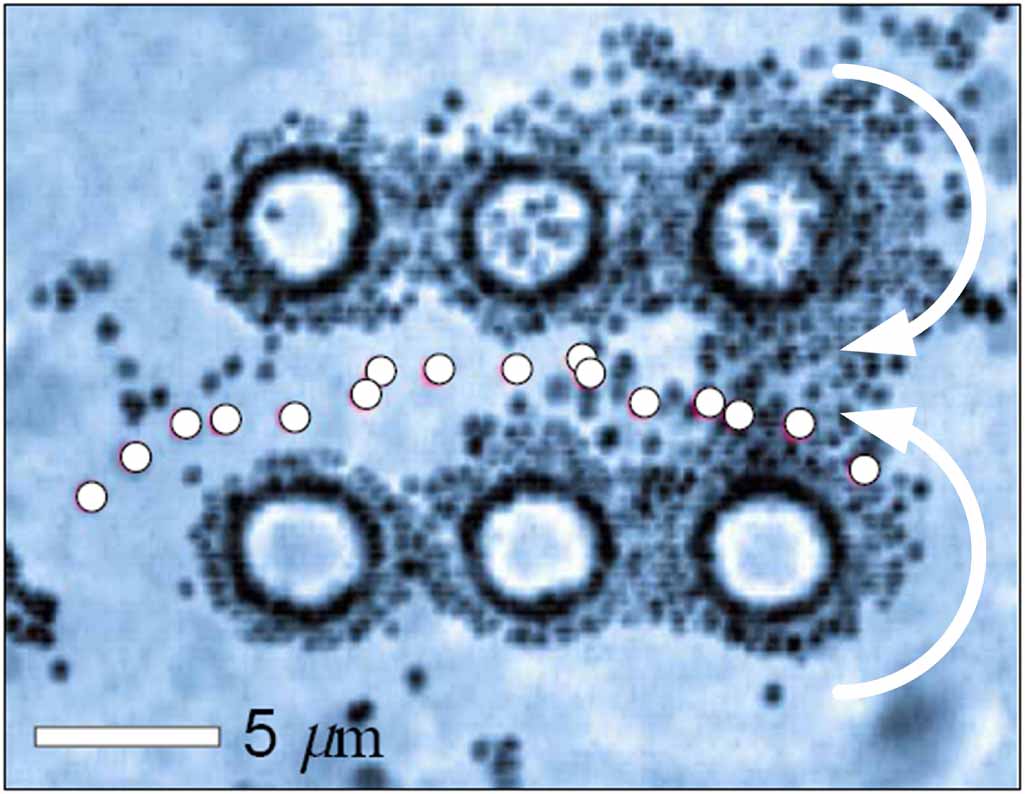 Orbital angular momentum in optical manipulations - IOPscience