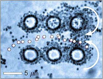 Orbital angular momentum in optical manipulations - IOPscience