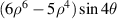 $(6{\rho ^6} - 5{\rho ^4})\sin 4\theta $