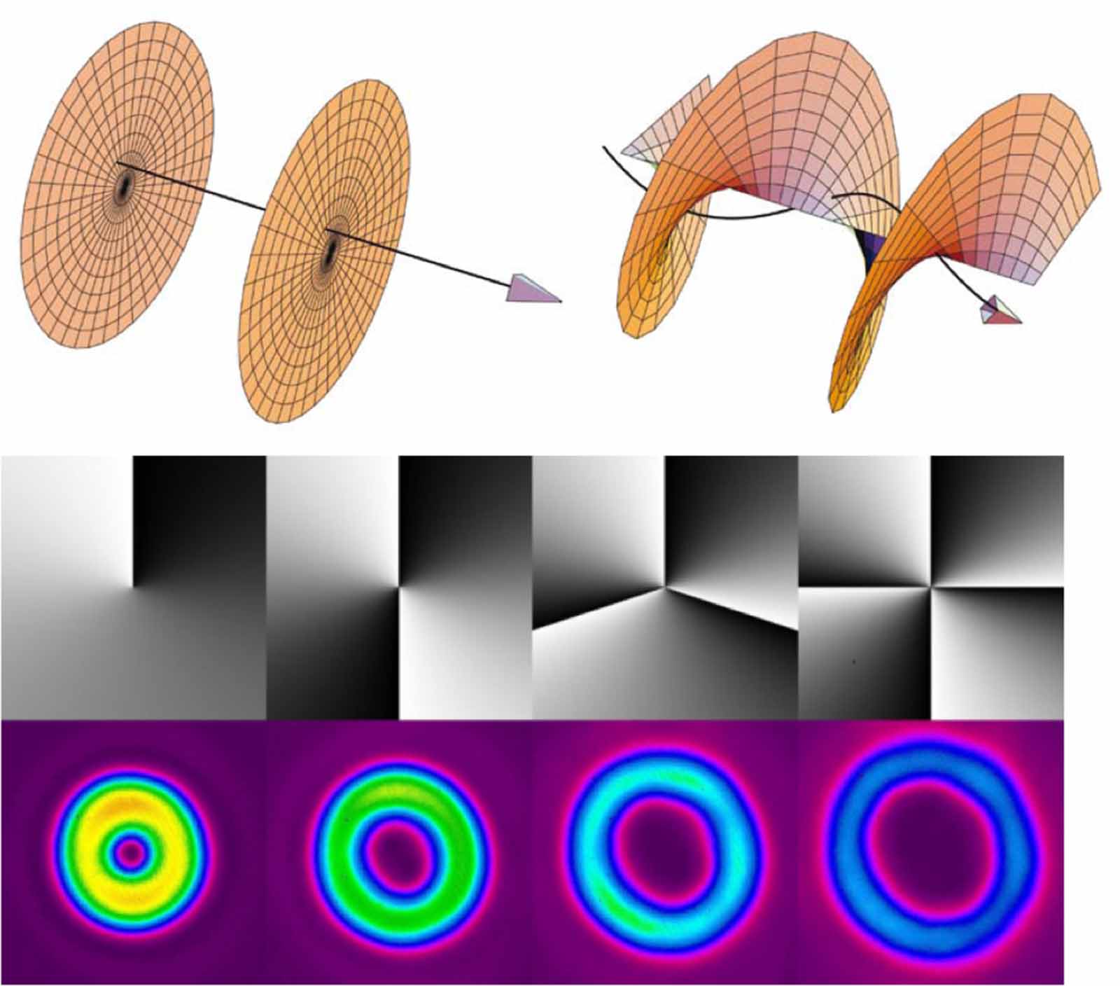 Perspectives on the orbital angular momentum of light - IOPscience