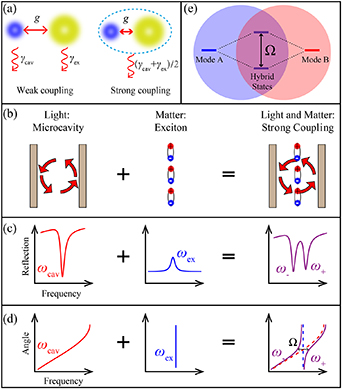 Strong coupling in two-dimensional materials-based nanostructures: a ...