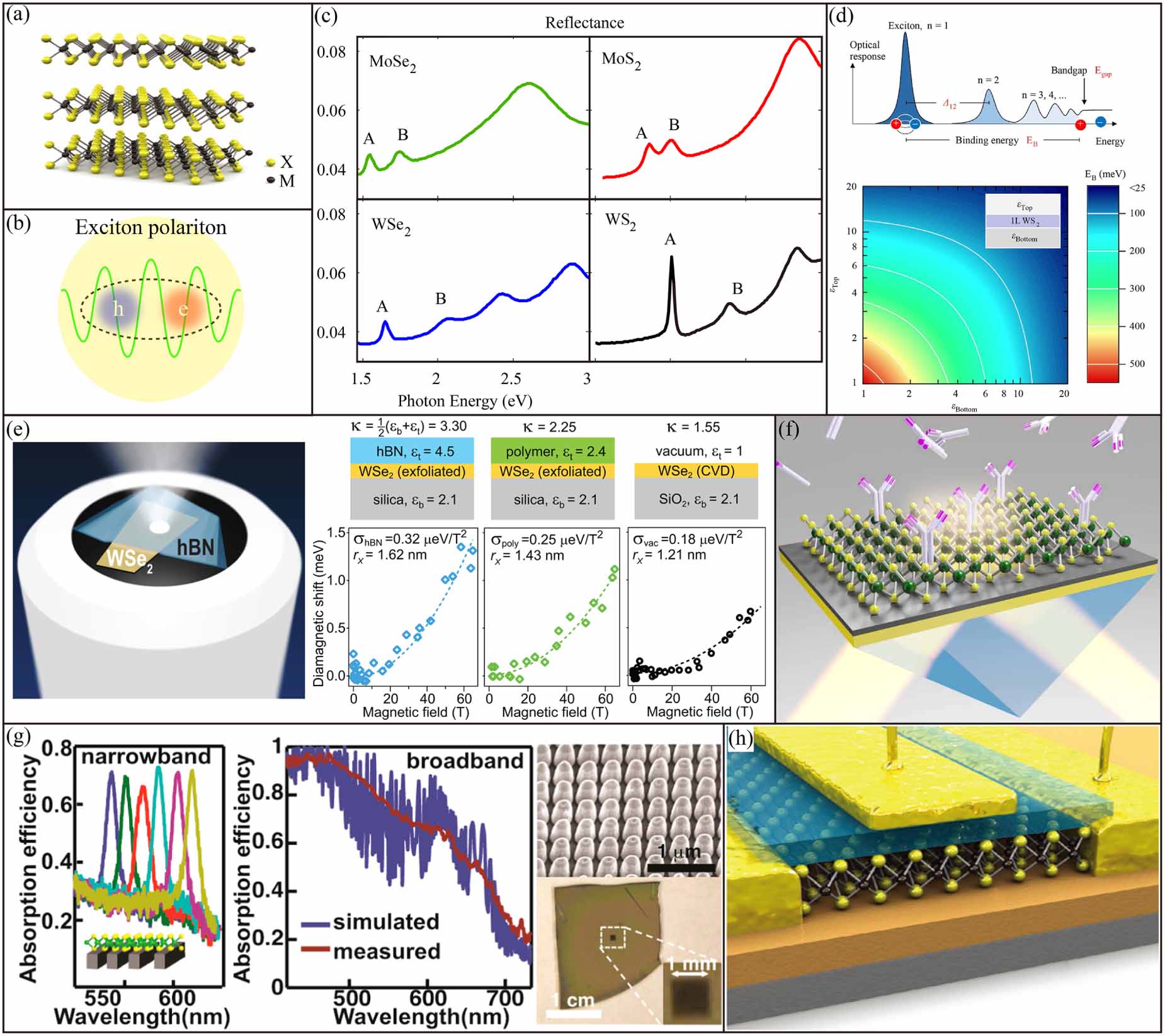 Strong coupling in two-dimensional materials-based nanostructures: a ...