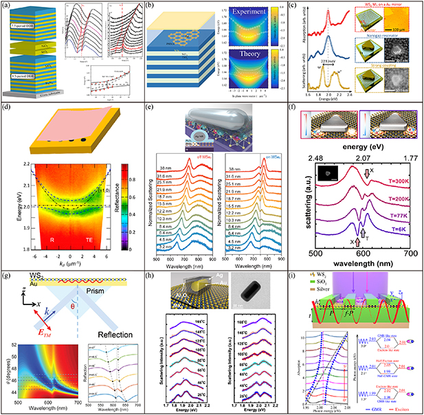 Strong coupling in two-dimensional materials-based nanostructures: a ...