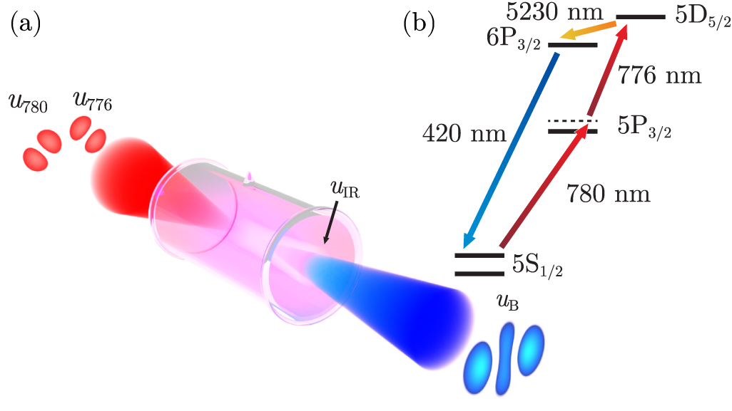 4 Wave Process Controlled conversion of transverse symmetries in a four-wave mixing ...