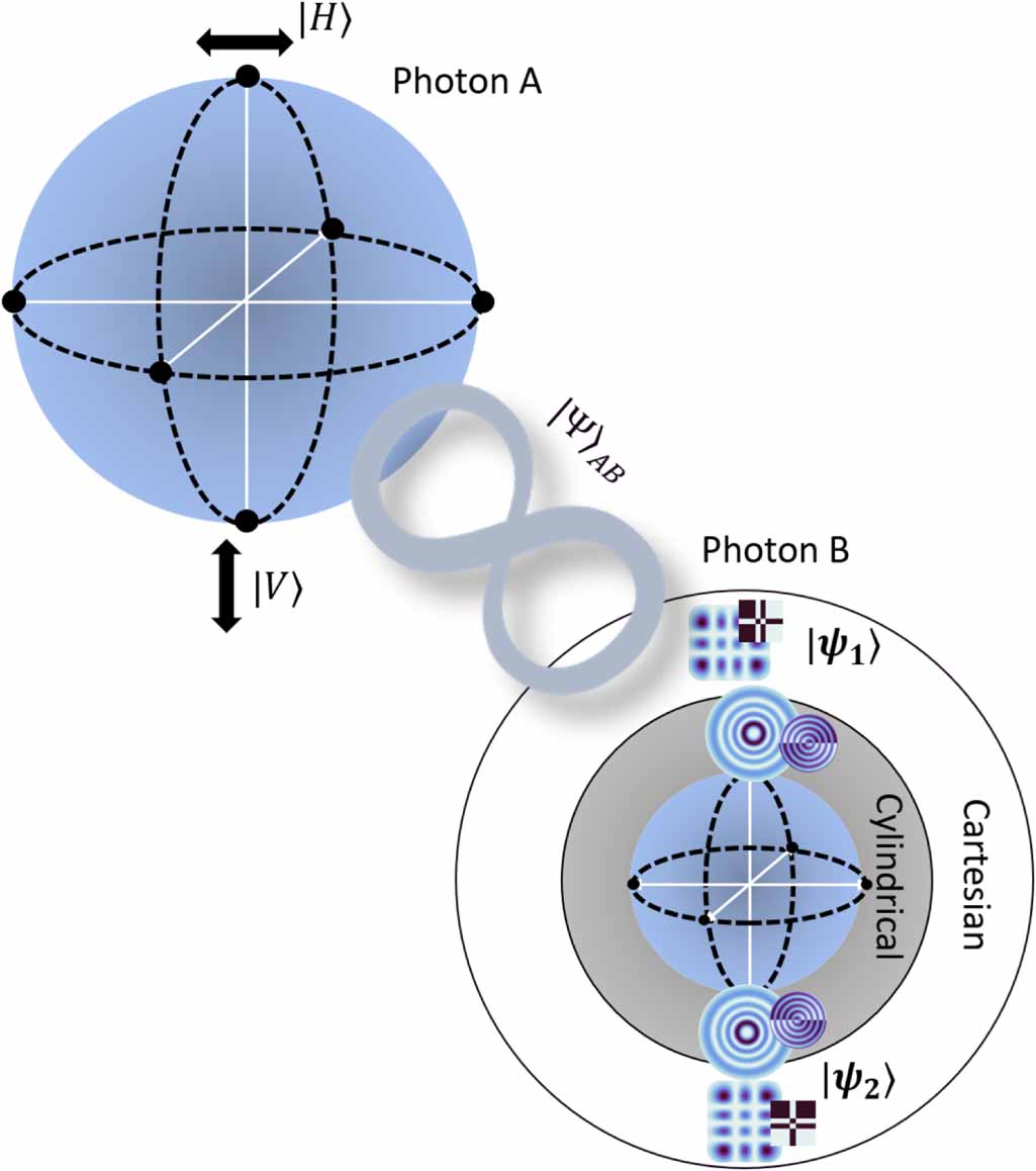 An all-digital approach for versatile hybrid entanglement generation ...