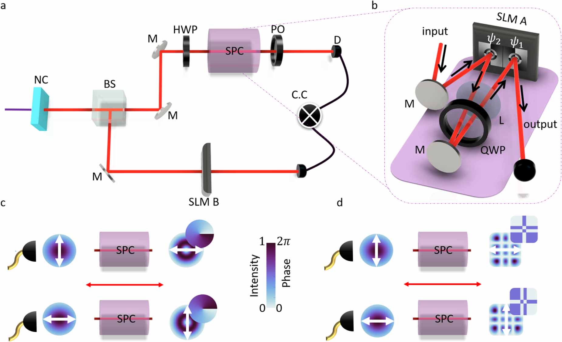 An all-digital approach for versatile hybrid entanglement generation ...