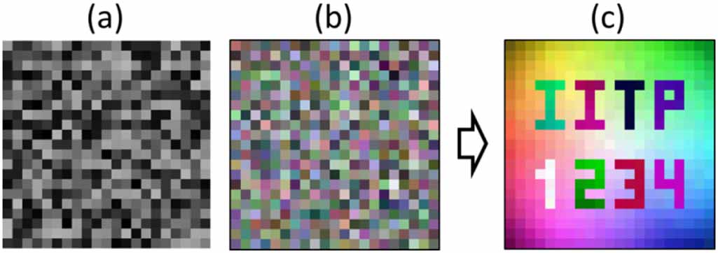 Color image encryption using vectorial light field through a compact ...
