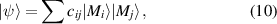Equation (10)