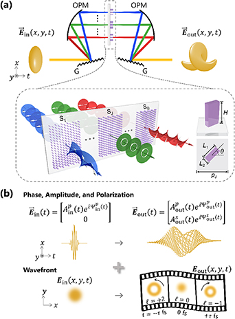 Figure 19. Refer to the following caption and surrounding text.