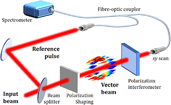 Figure 25. Refer to the following caption and surrounding text.