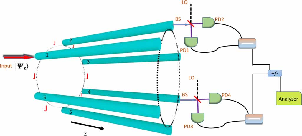 Bipartite and tripartite continuous variable entanglement in a circular ...