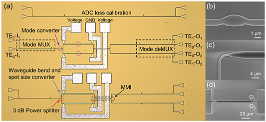 Dual-mode 1 × 2 optical switch with simultaneous modulation based on ...