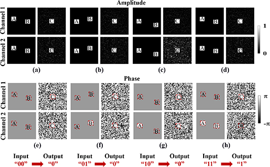 Polarization-based all-optical logic gates using diffractive neural ...